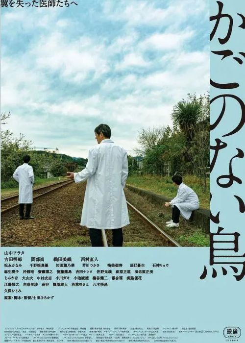 没有笼子的鸟 かごのない鳥