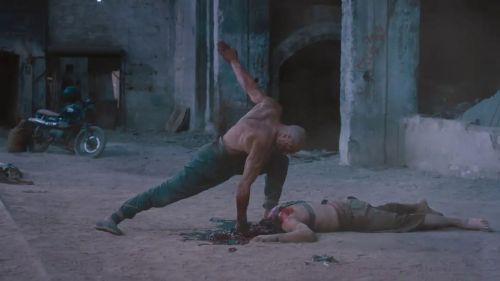 雕形拳