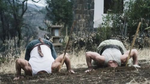 雕形拳