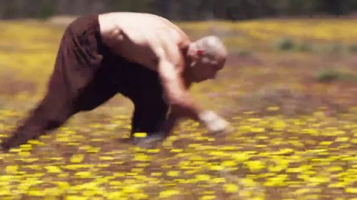 雕形拳