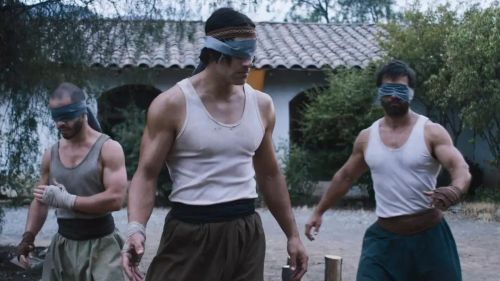 雕形拳