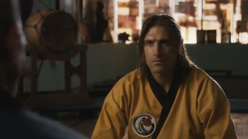 雕形拳