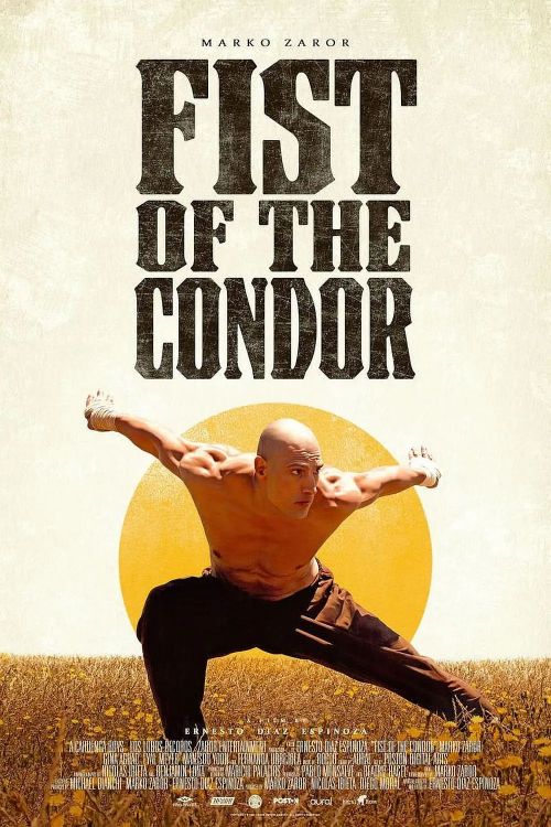 雕形拳