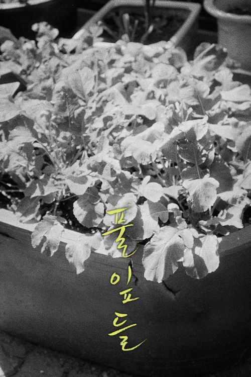 草叶集