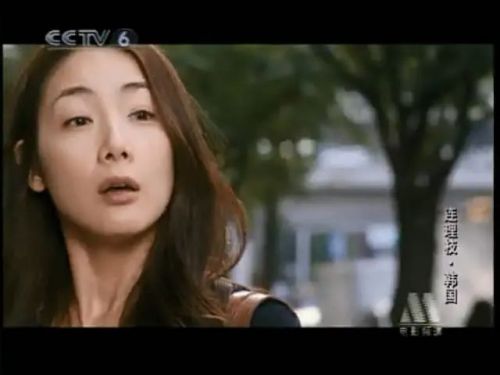 连理枝
