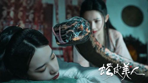蛇皮美人