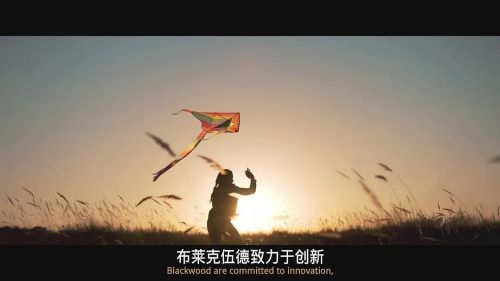双盲