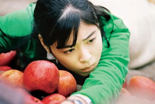 乌龟意外之速游 亀は意外と速く泳ぐ