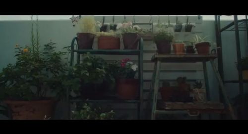 新教