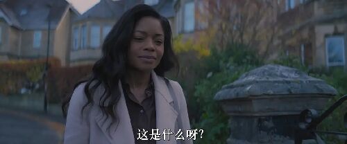黄蜂蜇