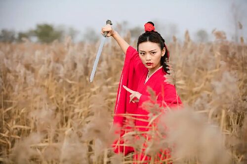 大漠孤侠