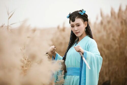 大漠孤侠
