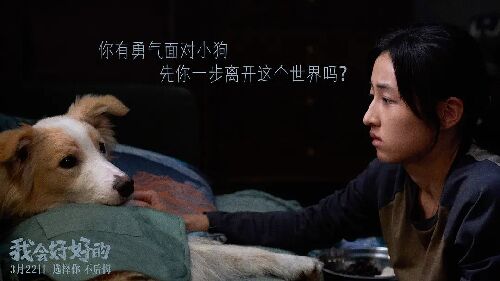 我会好好的