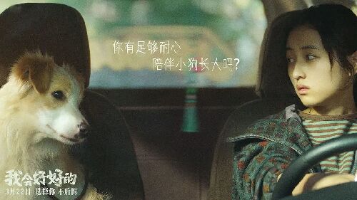 我会好好的