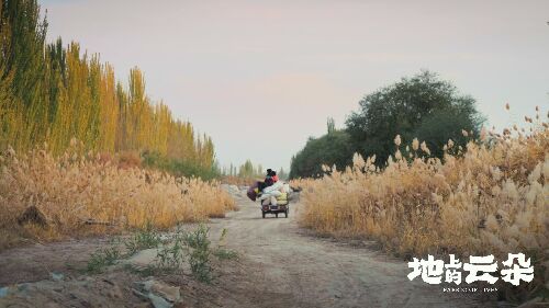 地上的云朵