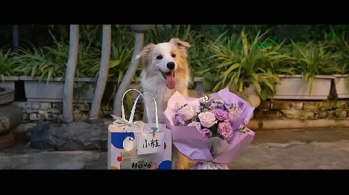 我会好好的