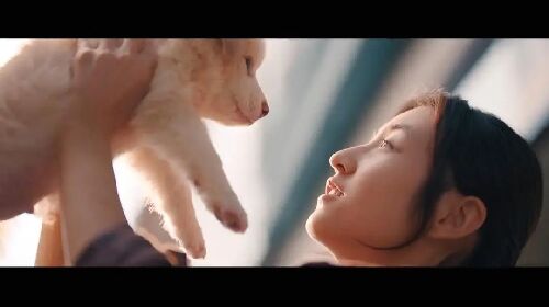 我会好好的