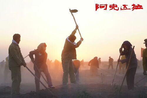 阿克达拉