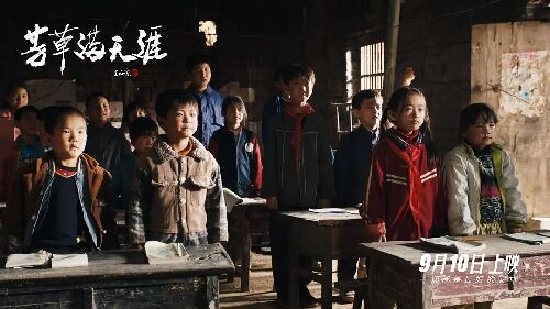 芳草满天涯