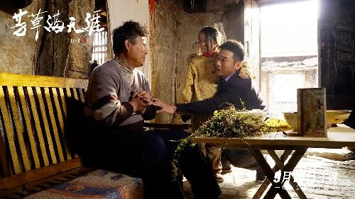 芳草满天涯