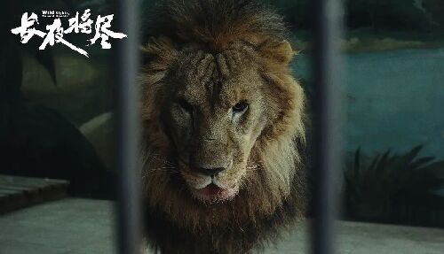 长夜将尽