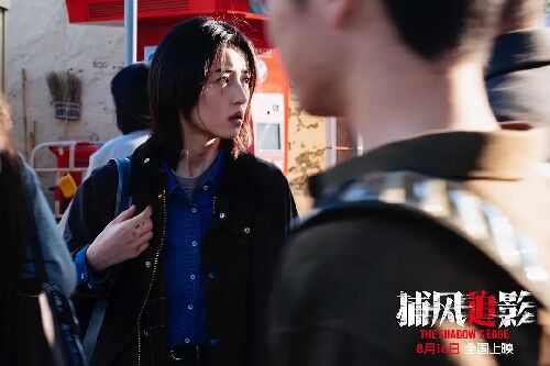 捕风追影
