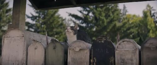 死亡竞走