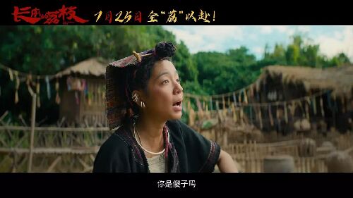 长安的荔枝