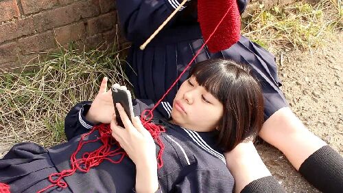 傲娇少女爱作战