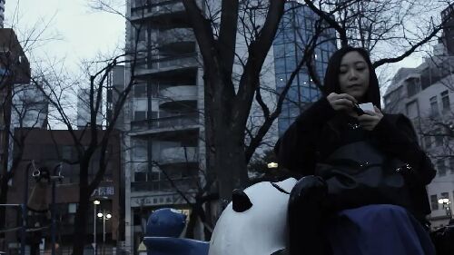 傲娇少女爱作战