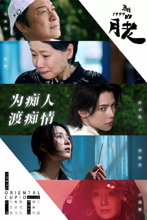寻找1999的月老