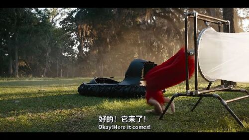 双面伴娘