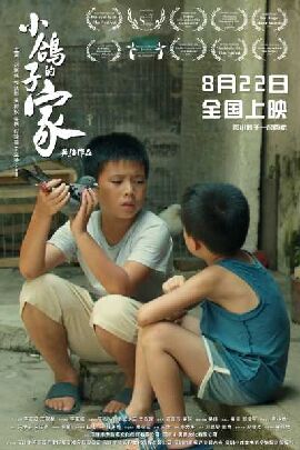 小鸽子的家