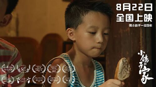 小鸽子的家