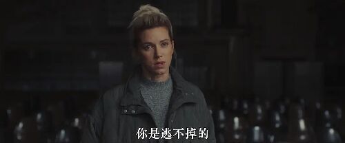 修复体