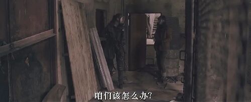 柯拉