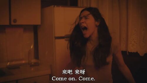暗影之面