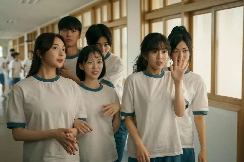 卷卷初恋