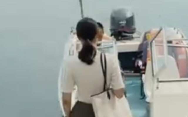 《这周五的游乐场》定档预告