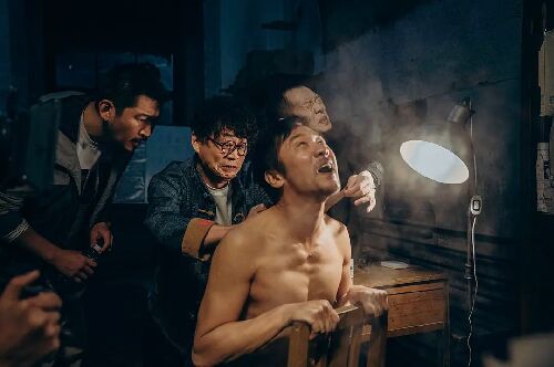 向光花盛开