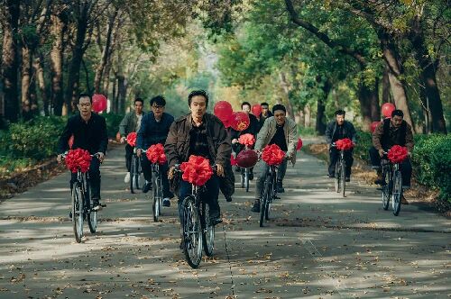 向光花盛开