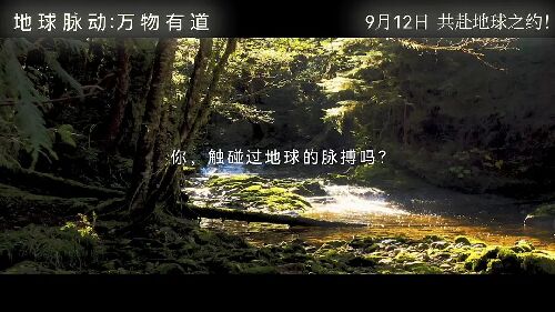 地球脉动：万物有道