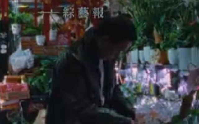 《蓝色太阳宫》正式预告