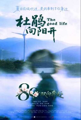  杜鹃向阳开
