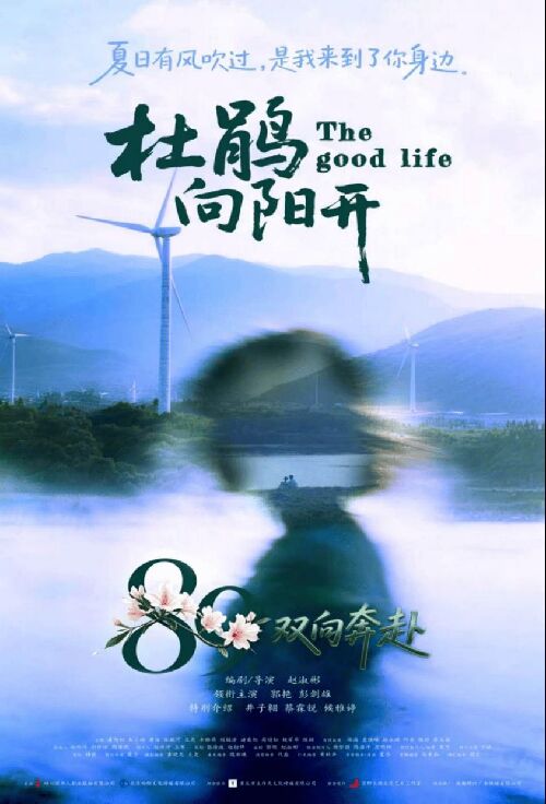  杜鹃向阳开