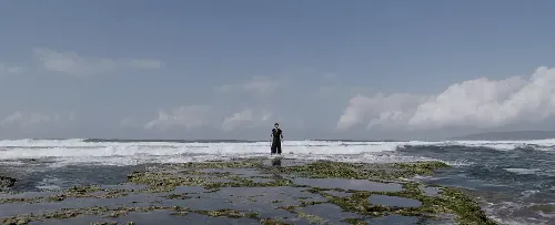 孤独武士