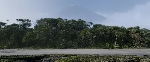 孤独武士