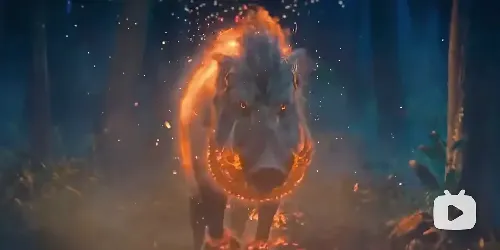 神秘森林传说: 第一章