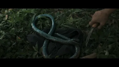 渎神者的灵扉
