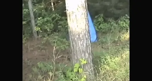 伊甸深宅